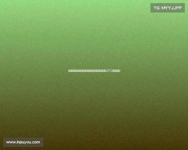 自由搏击赛事全面盘点：全球顶级赛事有哪些一览包括UFC等详细介绍